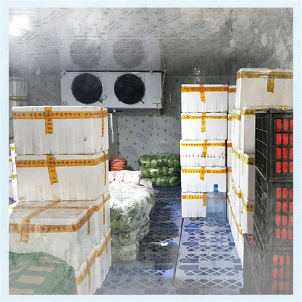 Øg produktiviteten og reducer omkostningerne med vores pålidelige blastfryserumsteknologi
