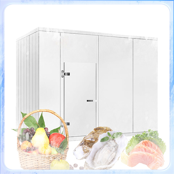 Construção e Design Superiores para Armazenamento e Refrigeração Ideais