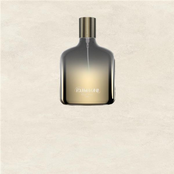 תפיסה וריבוי שימושים