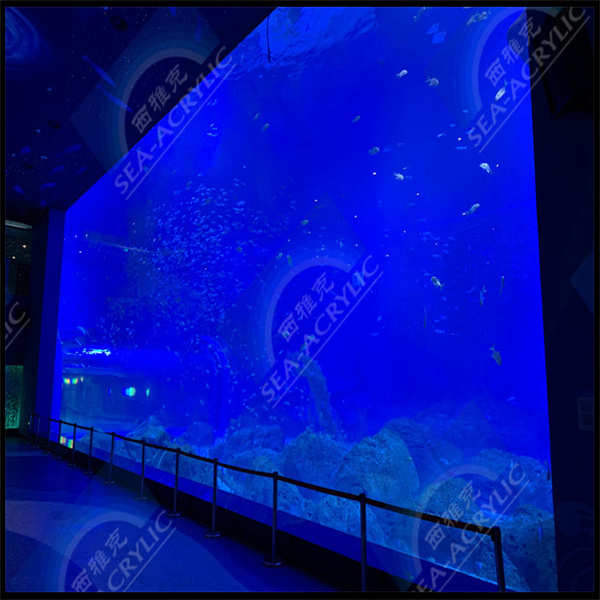 Die perfekte aquatische Kulisse