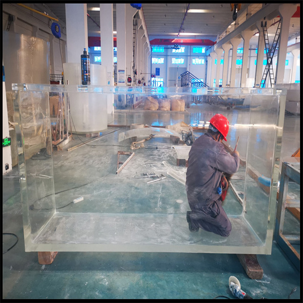 Discover the Marine Life in an Underwater Tunnel Made of Acrylic Glass