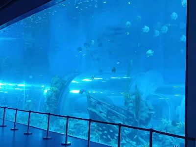 Explore Benefits of Acrylic Tanks for Your Aquarium Setup
