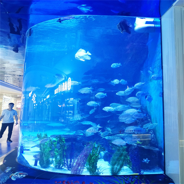 Зашто су акрилни акваријуми у резервоарима тренд будућности