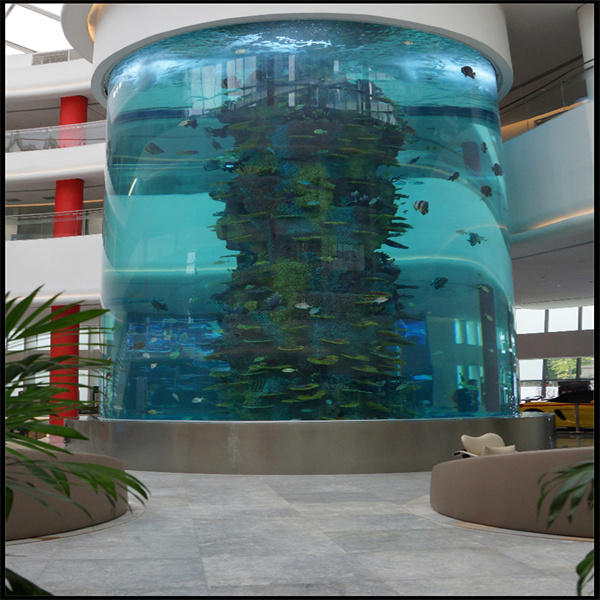 Create a stunning centerpiece in your home with an acrylic aquarium tank.