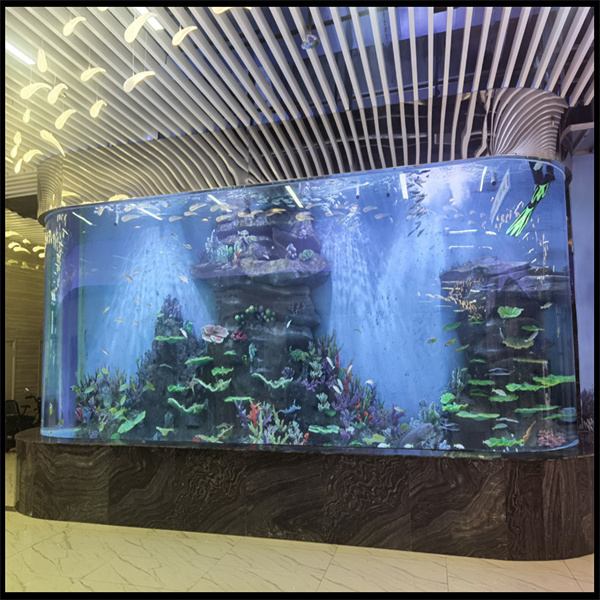 Enhancing your aquarium experience with acrylic panels