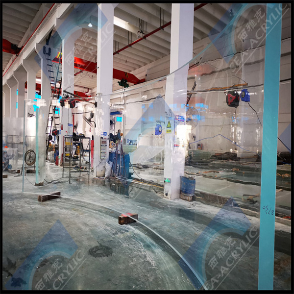 قم بالترقية إلى خزانة أكريليكية شفافة متينة وقليلة الصيانة لأسمائك المائية.