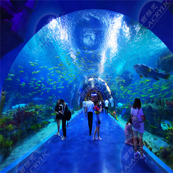 Experience 360-Degree Views of Your Fish in a Round Cylinder Acrylic Tank