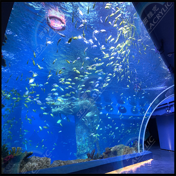 Get a 360-degree view of underwater wonders in an acrylic tunnel attraction.