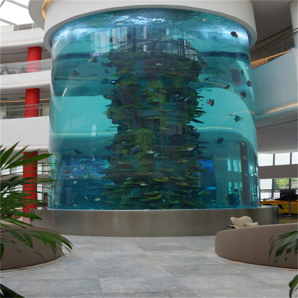 Les 5 essentiels pour votre aquarium en acrylique