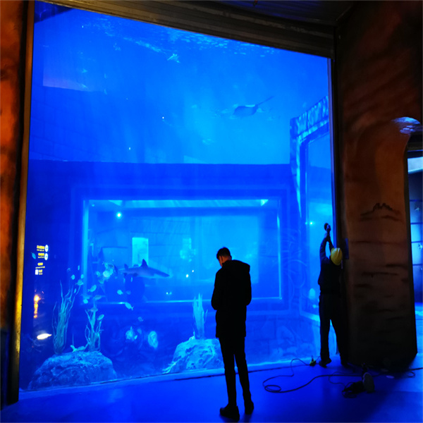 Auswahl des richtigen Fischaquariums