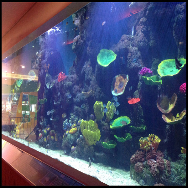 Створите запањујући центар са стакленим акрилни стол акваријум