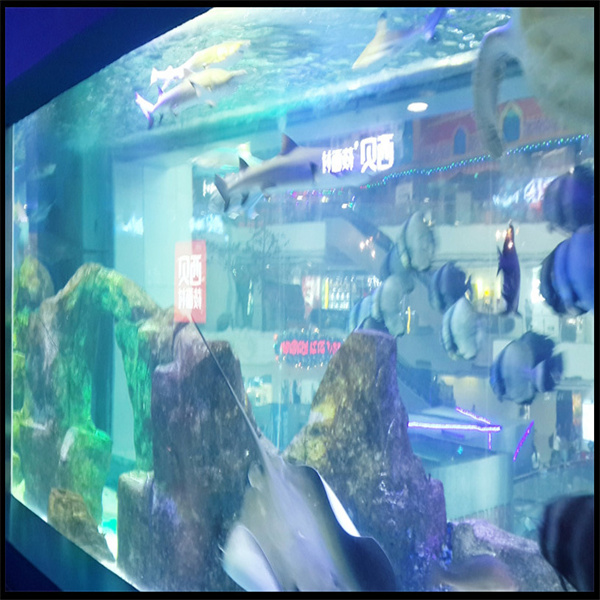 תהליך סגירה מורכב