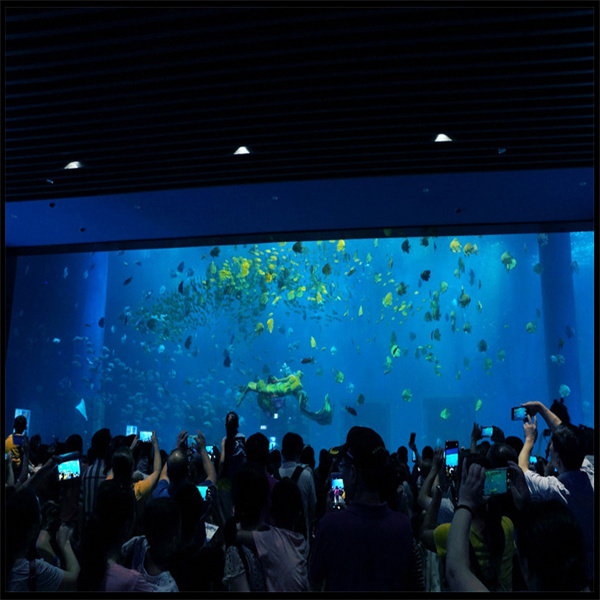 Create a Tranquil Oasis in Your Living Space with an Aquarium Acrylic Fish Tank