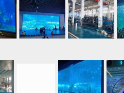 Creating Stunning Aquatic Views with Acrylic Aquarium Tunnels