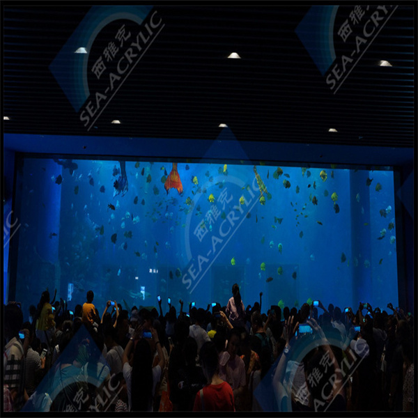 فهم تكلفة خزانات الأكريليك للأحواض المائية