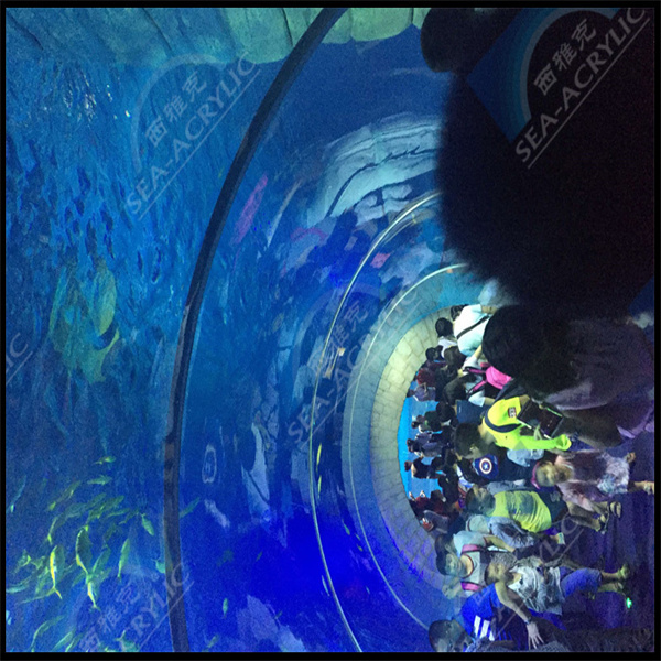 Pour éviter que l'acrylique ne jaunisse avec le temps, ce qui pourrait rendre le bac trouble, il est préférable de garder votre aquarium hors de la lumière directe du soleil.