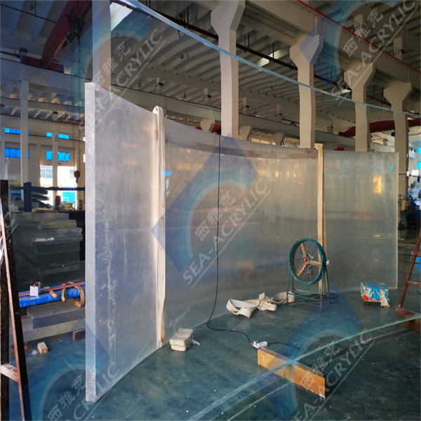 Captivating Views from an Underwater Tunnel with Transparent Acrylic Walls.
