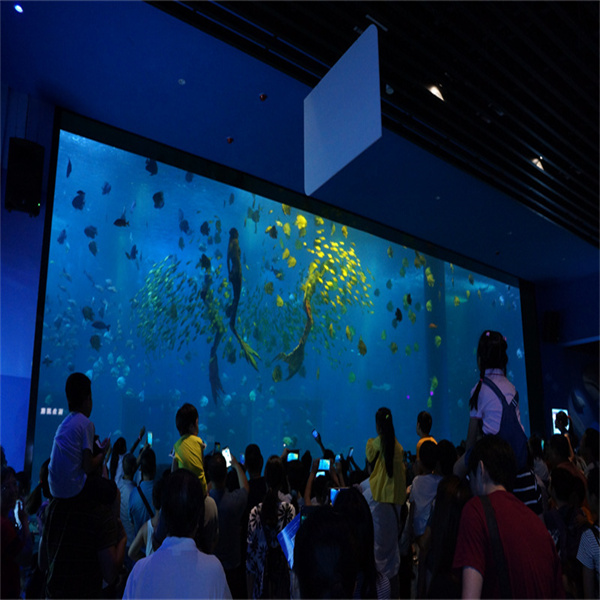 Customizing an acrylic aquarium tank