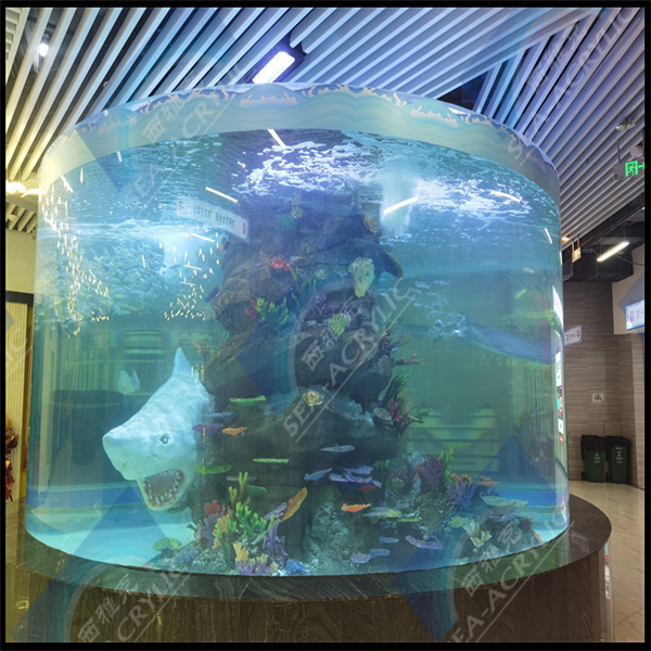 How to properly maintain a large acrylic aquarium for long-lasting enjoymen