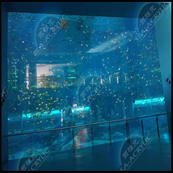 Witness marine life up close in an acrylic tunnel exhibit.