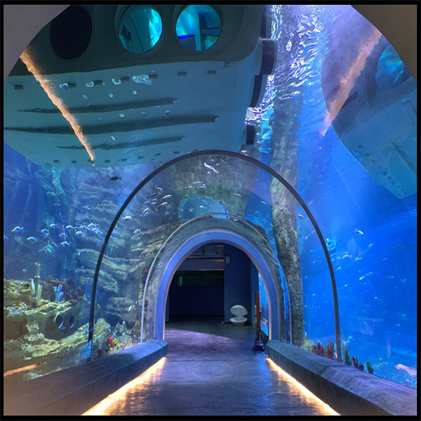 The versatility of a large acrylic aquarium for both freshwater and saltwater environments