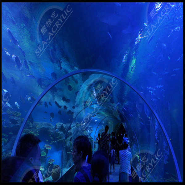 Farklı türlerde balık ve deniz yaşamını sergilemek için büyük bir akrilik silindir akvaryumunda mükemmel bir yol.