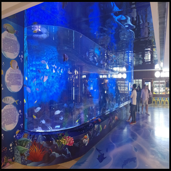 Quomodo Purificare Vas Piscinale