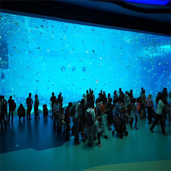 Akrilik su besisi tasarımları ile sınırsız olan olasılıkları keşfedin.