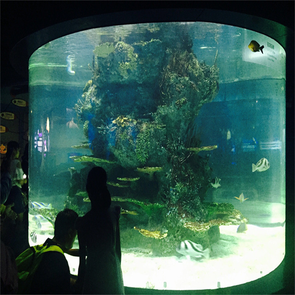 Unikalus pleksiglaso skydelio dizaino idėjos