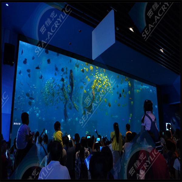 Watch as your fish swim in style in a spacious acrylic glass tube aquarium.