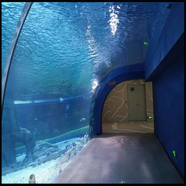 The Beauty of an Acrylic Glass Swimming Pool