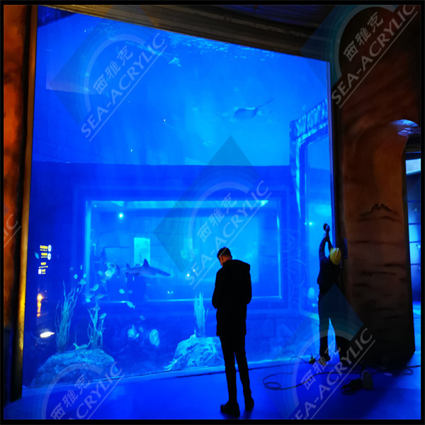 ТОП 5 Луцитских акваријума који су неопходни за љубитеље воде