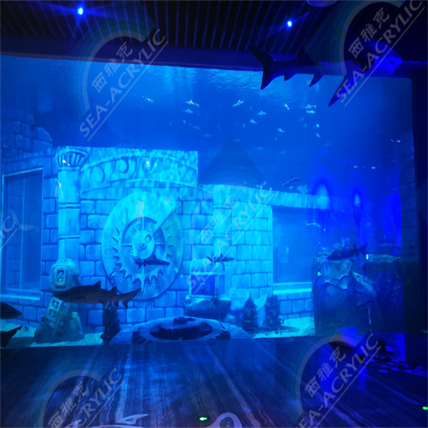 Enjoy the Durability and Versatility of a Fish Tank Acrylic Aquarium