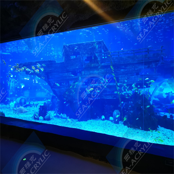 Is an Aquarium Acrylic Sump Right for Your Tank?