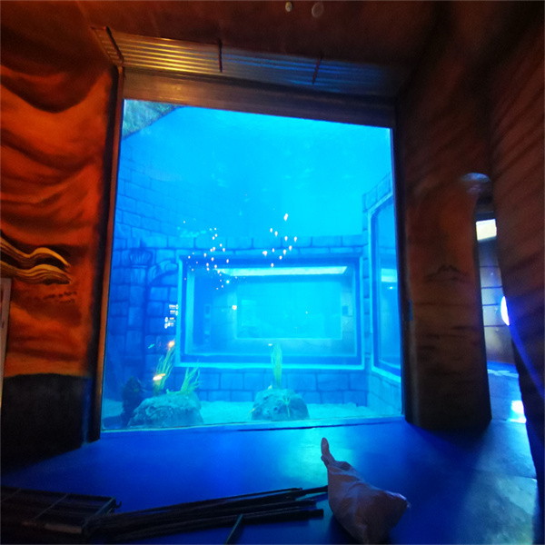 Hipnotik ve gerçekten hayatın ötesindeki bir akrilik akvaryuma adım atın.