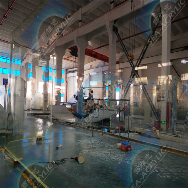 Ən populyar 10 akvarium balığı növü