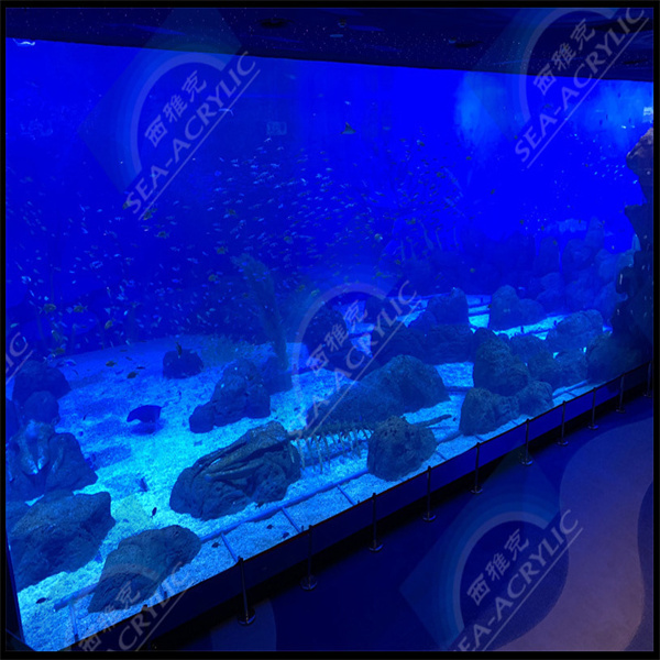 Bring the wonders of the ocean into your living space with an acrylic aquarium tank.