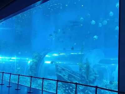 Best 5 Pool Acrylic Manufacturer In Srilanka