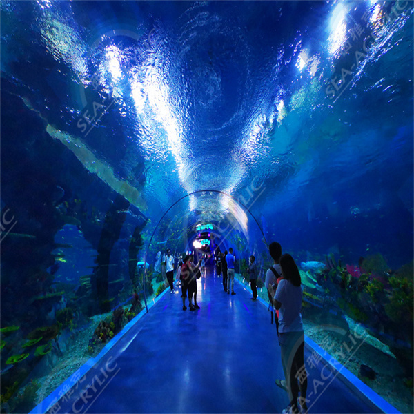 Acrylic tanks are lightweight and durable, making them easy to clean and maintain.