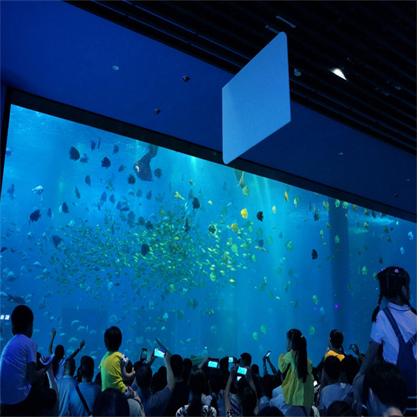 Enhance your living space with a stunning 2 meter wide acrylic aquarium.