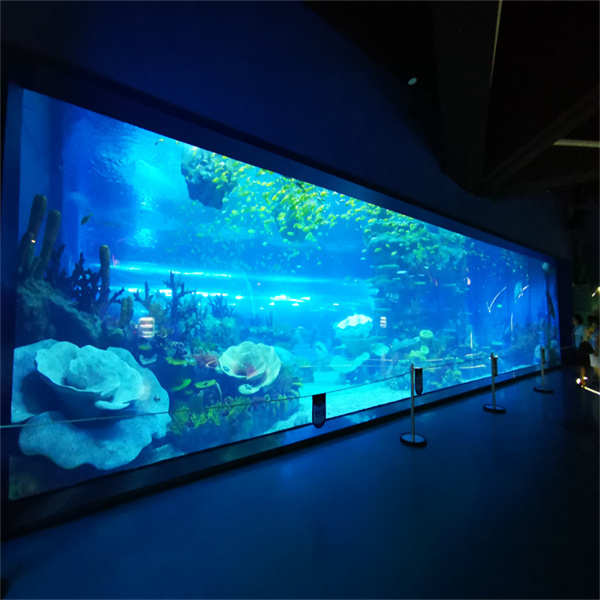 Enhance Your Underwater World with Custom Acrylic Tanks