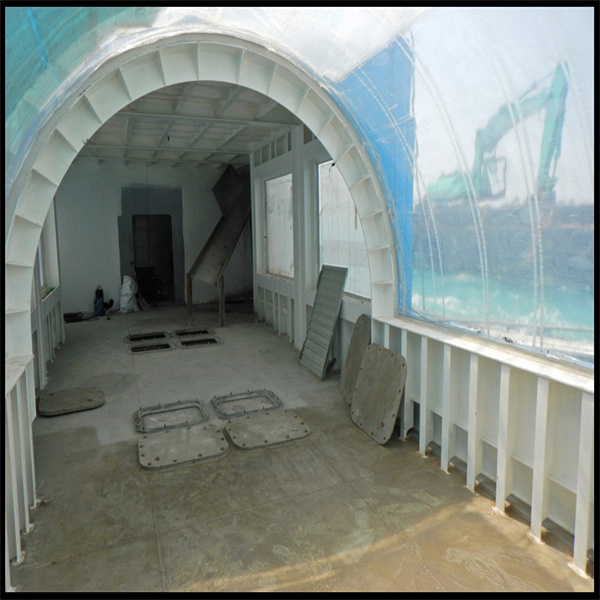 Inside the World's Most Spectacular Underwater Tunnel with Acrylic Glass