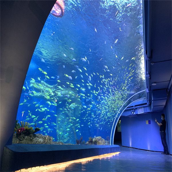Creating a Stunning Acrylic Pool Wall