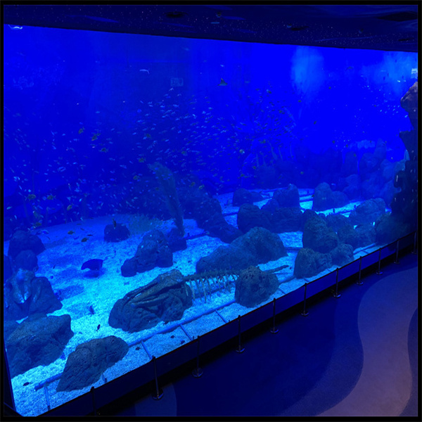 Ornare cum plantis, saxis et ornamentis