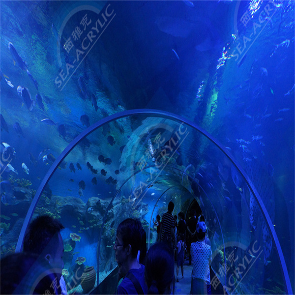 Her Ev veya İş Yerine Mükemmel Bir Eklenti