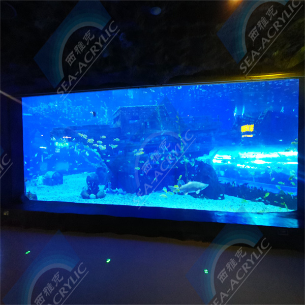 Experience the Wonder of Keeping Fish in an Aquarium Acrylic Fish Tank