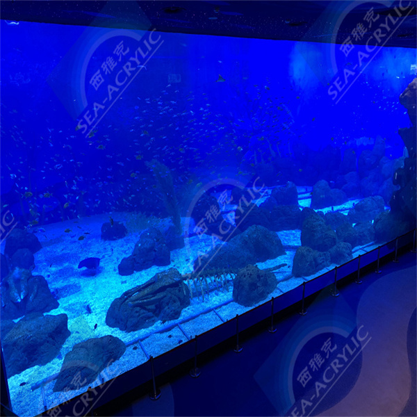 Tipps zur Pflege des Fischaquariums