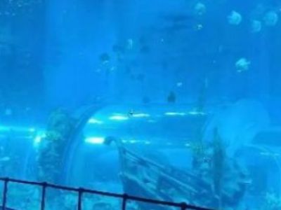 The Strength of Acrylic Tanks in Withstanding Water Pressure