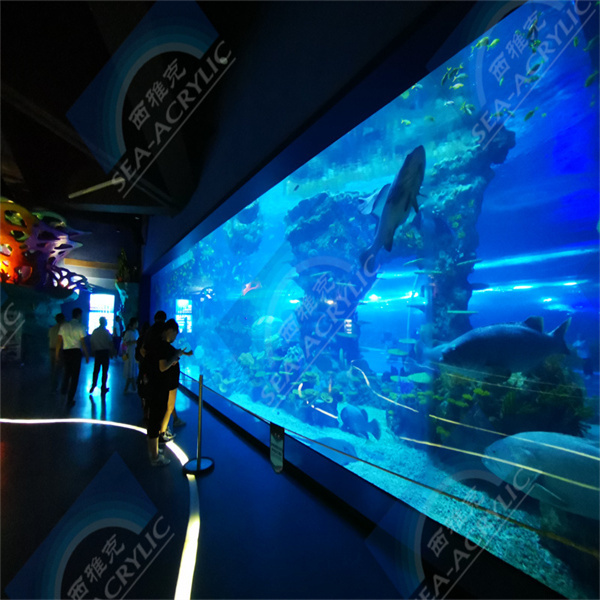 راقب أسماكك وهي تسبح بأسلوب جميل داخل خزانة أكريليكية شفافة.