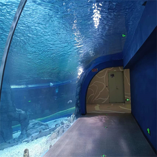 Нуркайце ў кристальная чystыя вады з басейна з акрыловым стеклом